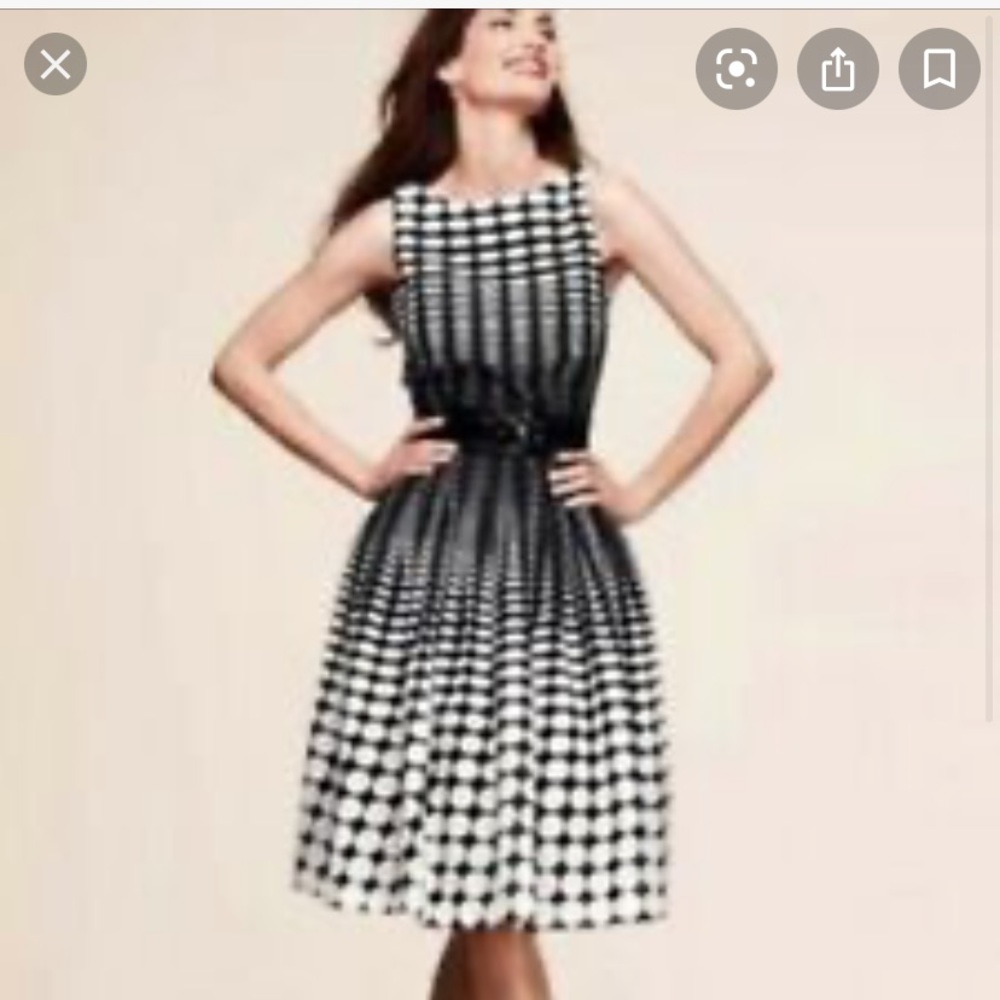 Talbots Polka Dot Dress